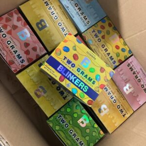 BLINKERS 2 GRAM PREMIUM ALL-IN-ONE-DEVICE