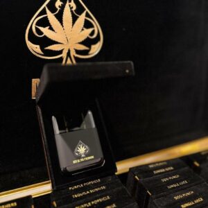 ACE Ultra 4G Premium Dual Gen2 Disposable