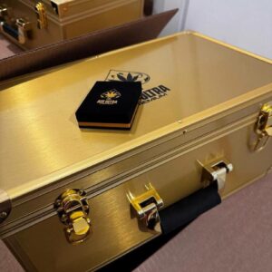 ACE Ultra 4G Premium Dual Gen2 Disposable