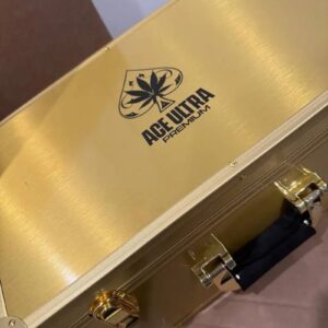 ACE Ultra 4G Premium Dual Gen2 Disposable