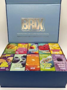 Brix All-In-One Device 2 Gram(Authentic)