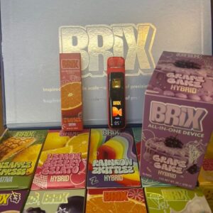 Brix All-In-One Device 2 Gram(Authentic)