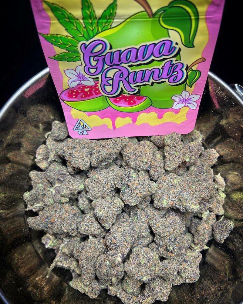 GUAVA RUNTZ