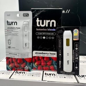 Turn XXL 2G Botanica Blends Disposable Vape