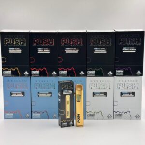 Organic PUSH 2 GRAM DISPOSABLE