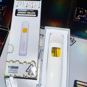 Organic Push 1G Disposable(Rechargeable Live Resin Blend)