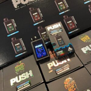 Push 2G Disposable With Screen