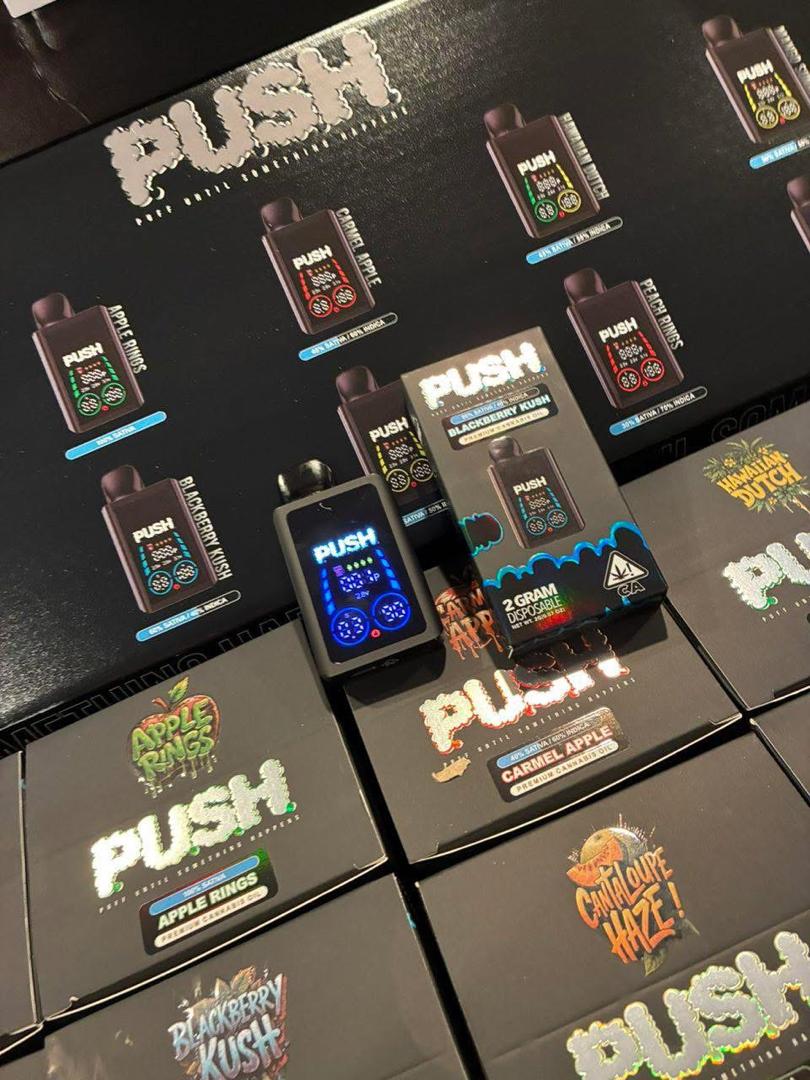 Push 2G Disposable With Screen