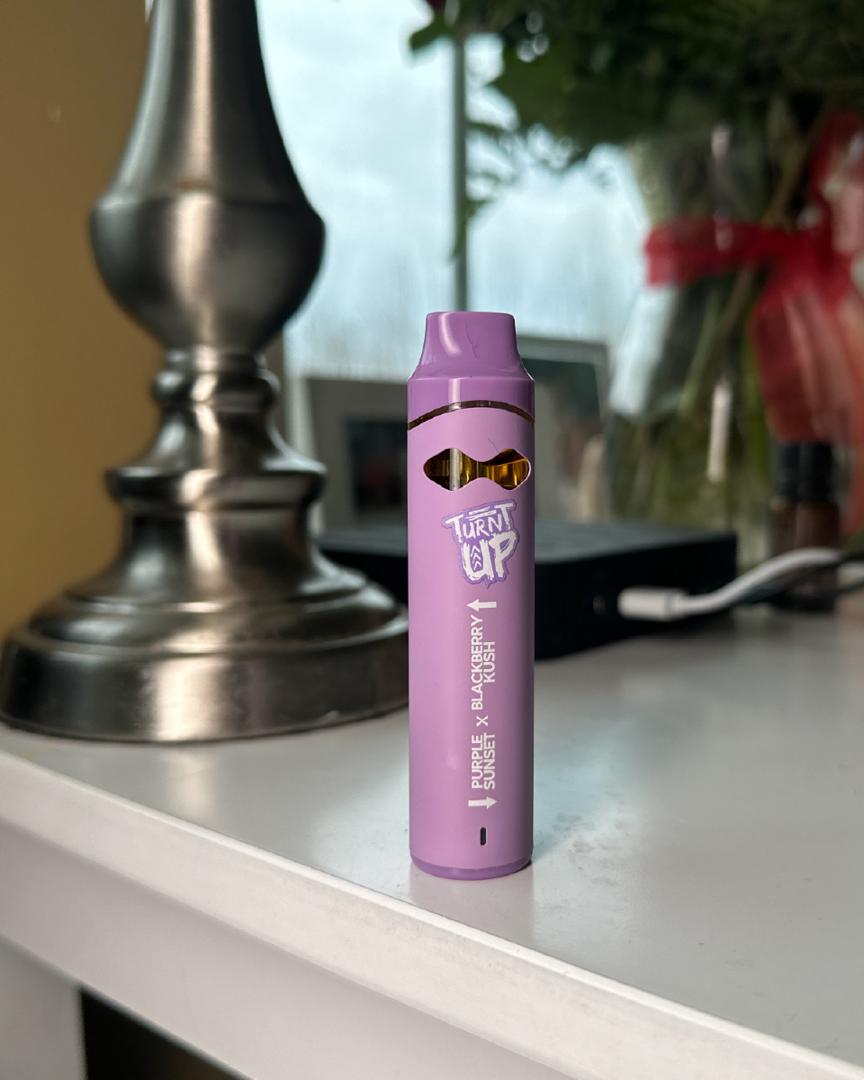 Turnt Up 2G Dual Flavor Disposable